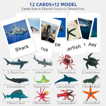 MEROCO Ocean Animals Montessori Matching Game Toys Kids Preschool | Sea Life Flash Cards Matching Game Toddlers Classroom Learning Plastic Figurines 3-5 - style: Marine Animal