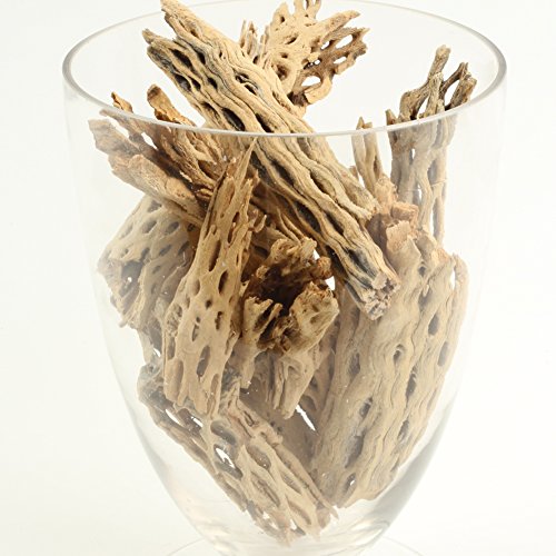 Koyal Wholesale Natural Cholla Wood Aquarium Branches, Airplants Decor, Reptile Perch, Untreated Cholla Wood Piece, Aquarium Driftwood Leopard Gecko Tank & Hermit Crab Accessories (2lb Bag) - size: 2lb Bag