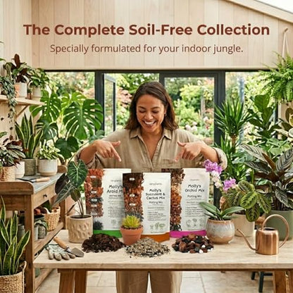 Molly's Succulent Potting Mix, Cactus and Bonsai Gritty Blend, 5 Dry Quarts - size: 5 Dry Quarts, style: Succulents & Cacti