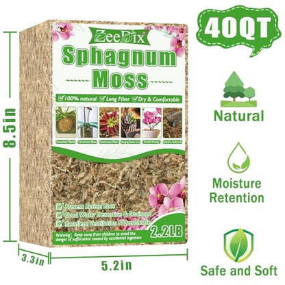 ZeeDix 2.2 lb Premium Sphagnum Moss Bulk, Natural Long Fiber Orchid Sphagnum Peat Moss for Carnivorous Plants Succulent Monstera Indoor Outdoor Plants & Reptiles Terrariums Habitats(Expands to 40 qt) - size: 2.2 pounds