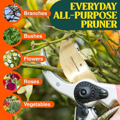 Haus & Garten ClassicPRO 8.5" Premium Titanium Bypass Garden Shears - Use as Pruners, Pruning Shears for Gardening, Hand Pruners, Handheld Garden Clippers, Scissors for Women - color: Pink Non Slip Soft Grips