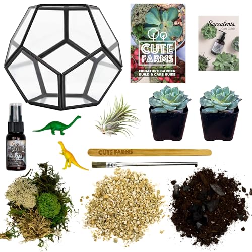 Cute Farms Glass Terrarium Kit | Just Add Your Own Plants (Geometric Glass + Live Plants) - style: Geometric Glass + Live Plants