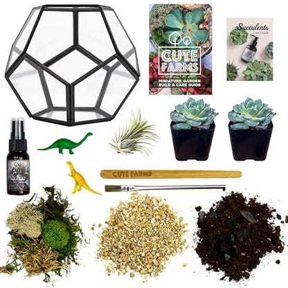 Cute Farms Glass Terrarium Kit | Just Add Your Own Plants (Geometric Glass + Live Plants) - style: Geometric Glass + Live Plants