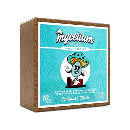 Mycelium Coco Coir Brick Mushroom Growing Kit I Expandable Organic Coconut Fiber Substrate I Indoor Mushroom Cultivation for Starter & Pro Home Growers I OMRI Certified & Non-GMO, 10lbs - style: Mushroom Cultivation