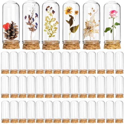 50 Pack 40 ml Glass Cloche Dome, 3 Inch Small Glass Bottles with Cork Stoppers, Decoration Message Bottle Vial Cork for Candy, DIY Art Crafts, Wedding Party Favors