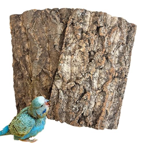 Cork Bark Perch for Birds 12"x8" Natural Cork Chewing Toy 2 PCS Flat Budgies Bark Seat Board Wood Bark Background Decor Panel Birdcage Accessories for Parakeet Lovebirds Cockatiels Conures
