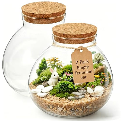 NUOBESTY 2 Pack Glass Terrarium Jar with Cork Lid, 6x6.3 Inch Closed Terrarium for Succulent Moss and Fern, DIY Miniature Desktop Garden for Home & Office Decor (No Plants)