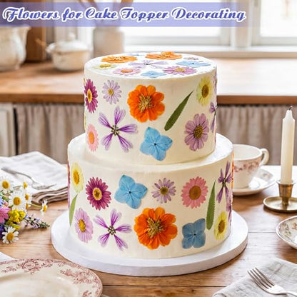 96 Pcs Pressed Dried Flowers, Colorful, Flower Leaf Style | Natural Dried Flowers for Cake Topper Cupcake, Cocktails Garnish, Resin Jewelry DIY, Soap, Candle Making Art Crafts - color: Colorful, style: Flower Leaf Style