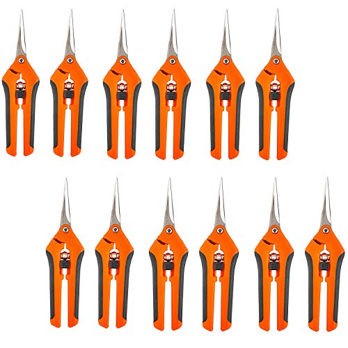 YaeCCC 12-Pack 6.5 Inch Gardening Hand Pruner Pruning Shear with Stainless Steel Blades