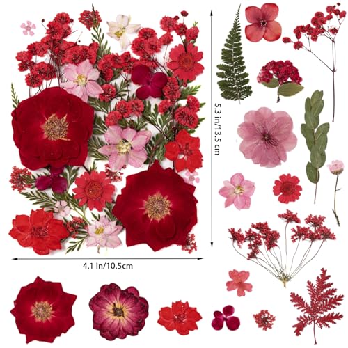 101 PCS Red Dried Pressed Flowers for Christmas Crafts Resin, Red Real Nature Flowers Bulk for DIY Holiday Cake Card Scrapbook Supplies, Large Dried Flowers for Soap Candle Making - size: Red 101pcs