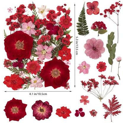 101 PCS Red Dried Pressed Flowers for Christmas Crafts Resin, Red Real Nature Flowers Bulk for DIY Holiday Cake Card Scrapbook Supplies, Large Dried Flowers for Soap Candle Making - size: Red 101pcs