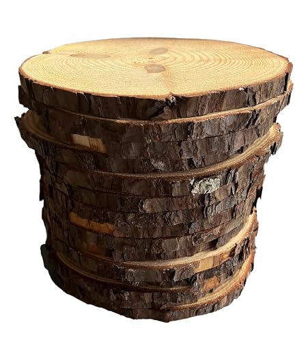Set of (12) 10-11" Natural Wood Slices! Rustic Party Decorations, Rustic Wedding Decor, Wood Cookies (12)