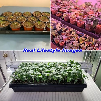 10-Pack Heavy-Duty 1020 Seed Trays No Holes, Thick Plastic Plant Flats - color: Black, size: 10p 1020 Trays No Holes