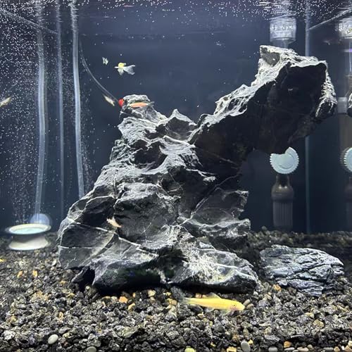 FANTIAN 10 lbs Black Lava Rocks for Plants, 5-8 MM Crush Volcanic Rocks | 1/4 Inch Natural Pumice Gravel, Lava Rock for Aquarium, Succulent Cactus, Soil Drainage, Fire Pits, Outdoor Garden - color: Black Lava Rocks