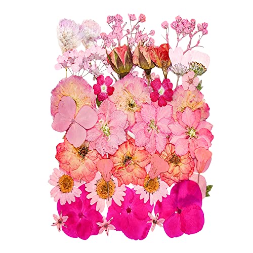 15 Types 37pcs Pink Dried Pressed Flowers for Resin Molds,Real Natural Pressed Flowers for DIY Art Crafts,Candle Making, Nails Décor,Soap Making, Phone Case - color: Pink
