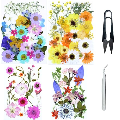 Cayway 4 Pack Pressed Flowers Natural Dried Flowers Colorful Resin Flowers Real Pressed Flowers for Resin Scrapbook DIY Art Crafts, Epoxy Resin Jewelry, Card Making Supplies, Style G - color: 4 Pack Pressed Flowers B