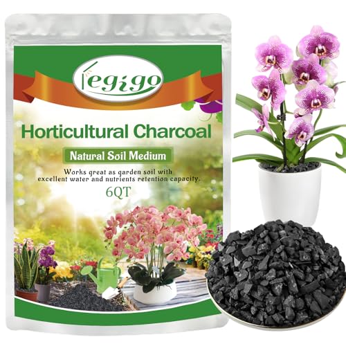6 QT Horticultural Charcoal- Natural Biochar Soil Amendment | Improves Soil Drainage & Aeration, Activated Charcoal for Plants, Terrariums, Orchids, Succulents, Bonsai and Potting Mix - size: 6 QT