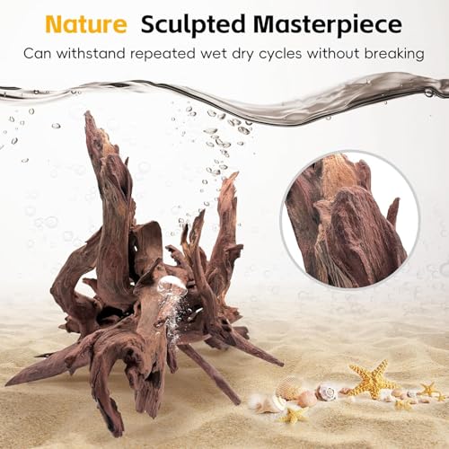 EFFIELER Natural Driftwood for Aquarium Decor – Unique Size Real Wood Branches for Fish Tank, Reptile Habitat, Terrarium, Hermit Crab, Shrimp Tank (11-14 INCH 2-Pack, Mopani Driftwood) - size: 11-14 INCH 2-Pack