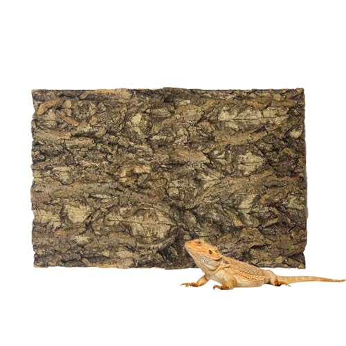1PCS 11.8"x7.8" Natural Thickened Reptile Cork Bark Terrarium Background | Reptile Tank Background Board Climbing Wall Decor Terrarium Accessories for Lizard Bearded Dragon Gecko Chameleon Tortoise - size: 1PCS - S：11.8" x 7.8"
