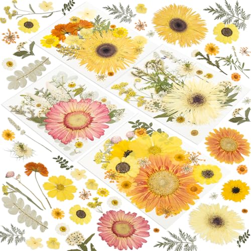 188 Pcs Dried Pressed Flowers for Resin Crafts, Real Natural Pressed Flowers and Leaves Kit Butterfly Stickers Vacuum Sealed Dry Flowers for DIY Epoxy Resin Jewelry Molds, Candle Soap Making, Nail Art - color: Gerbera Daisy 188pcs