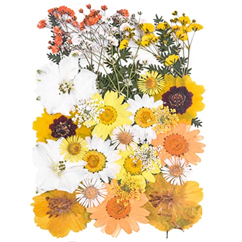 YouthBro Dried Pressed Flowers for Resin Molds,Real Natural Pressed Flowers for DIY Art Crafts,Candle Making, Nails Décor,Soap Making, Phone Case Yellow White - color: Yellow,white