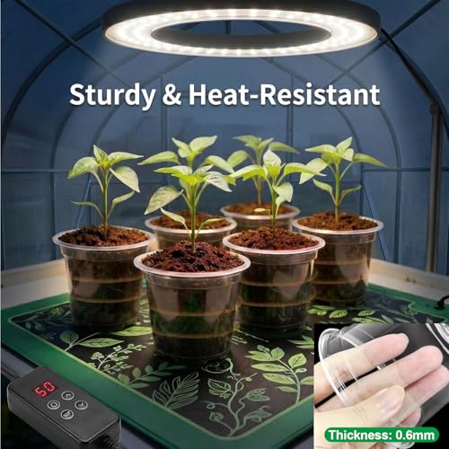 6/8/10 Inch Clear Nursery Pots with Saucers and 15 Pack Plant Labels,Transparent Plastic Plant Pots with Drainage Holes,Sturdy Seed Starter Pots for Succulents,Herbs,Flowers,Indoor Outdoor Plants - size: 6+8+10 Inch