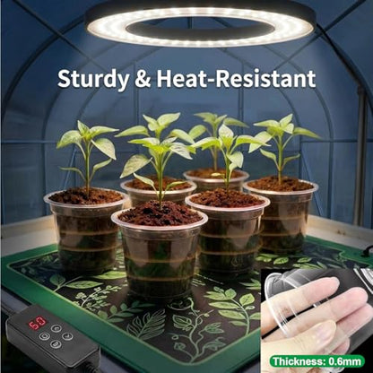6/8/10 Inch Clear Nursery Pots with Saucers and 15 Pack Plant Labels,Transparent Plastic Plant Pots with Drainage Holes,Sturdy Seed Starter Pots for Succulents,Herbs,Flowers,Indoor Outdoor Plants - size: 6+8+10 Inch
