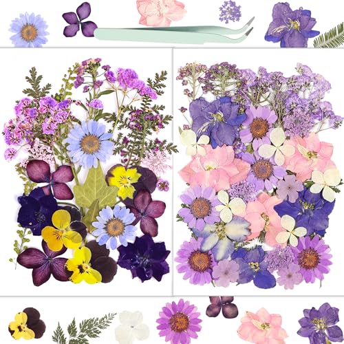 Dried Flowers, Resiners 58Pcs Pressed Flowers for Craft Purple Real Natural Dried Flowers Dry Leaves Kit for DIY Making Crafts Resin Soap Candle Scrapbook Supplies Card Making Jewelry - color: Violet 58pcs