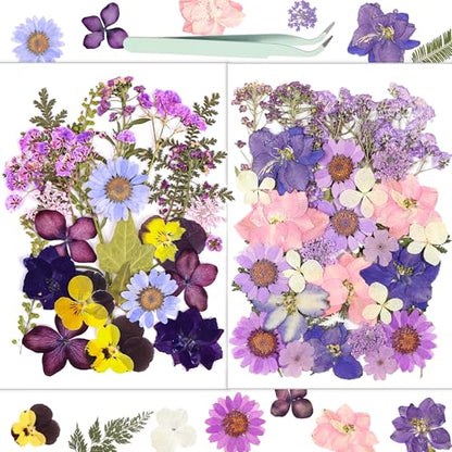 Dried Flowers, Resiners 58Pcs Pressed Flowers for Craft Purple Real Natural Dried Flowers Dry Leaves Kit for DIY Making Crafts Resin Soap Candle Scrapbook Supplies Card Making Jewelry - color: Violet 58pcs