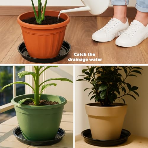 30 Packs 4 Inches Small Plant Saucers for Indoor Outdoor Use Heavy Duty Plastic Plant Plate Dish for Planter Bulk Round Flower Pot Drip Trays to Catch Water 4 to 20 Inch, Black - size: 4 inches