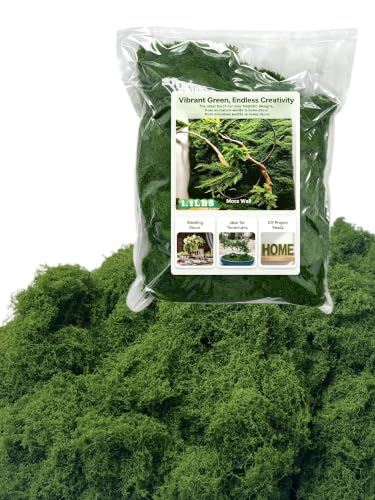 Fake Moss Green Decor 1.1Lbs Faux Craft Grass for Planters | Artificial moss, Hanging moss, Decorative moss for fairy garden, terrarium, DIY crafts & floral arrangements, Indoor/Outdoor