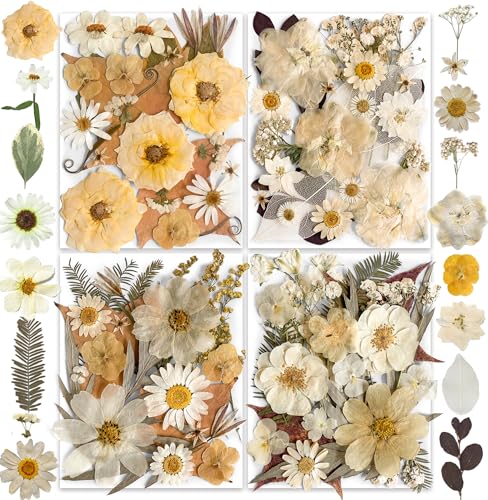 96PCS Vintage White Dried Pressed Flowers for Resin Craft - YouthBro Real Nature Flowers Set with 50 PCS Butterfly Stickers for DIY Scrapbook Art Floral Decors - color: 4packs Vintage