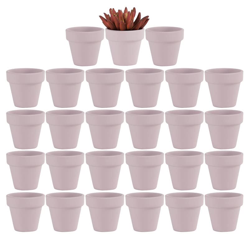 Yishang 27 pcs Small Mini Pink Clay Pots, 2 inch Terracotta Pot Clay Ceramic Pottery Planter,Cactus Flower Terra Cotta Pots,Succulents Nursery Pots,with Drainage Hole,Great for Crafts,Wedding Favor - color: Pink