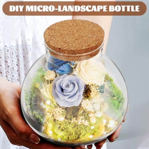 NUOBESTY 2 Pack Glass Terrarium Jar with Cork Lid, 6x6.3 Inch Closed Terrarium for Succulent Moss and Fern, DIY Miniature Desktop Garden for Home & Office Decor (No Plants)