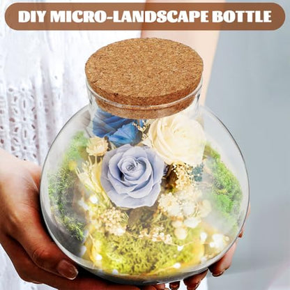 NUOBESTY 2 Pack Glass Terrarium Jar with Cork Lid, 6x6.3 Inch Closed Terrarium for Succulent Moss and Fern, DIY Miniature Desktop Garden for Home & Office Decor (No Plants)