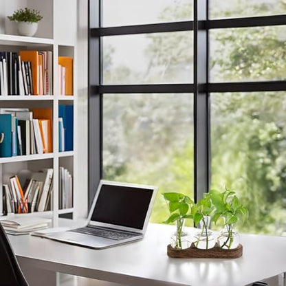 Mkono Desktop Plant Propagation Station Glass Planter Terrarium with Wooden Tray and Artificial Succulent in 3 Pack Mini Glass Geometric Terrarium