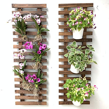 ShopLaLa Wall Planter (90cm, 2 Pack) Hanging Planters for Indoor Plants - size: 90cm (35.4") x 2