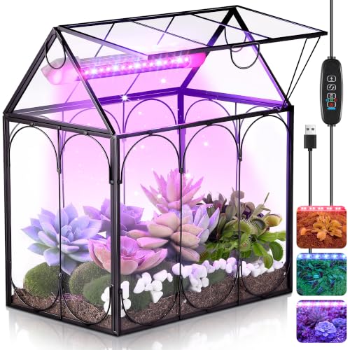 Mini Glass Venus Fly Trap Terrarium with Grow Light 9.8"x5.9"x 9" | For Venus fly traps succulents and moss, USB 5W grow light with timer, Clear glass copper frame, Desktop home office decor - size: 9.8"x5.9"X 9"