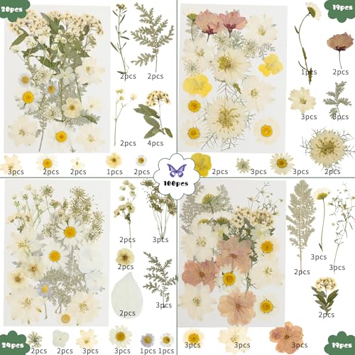 186 Pcs Dried Pressed Flowers for Resin Crafts, Real Natural Pressed Flowers and Leaves Kit Butterfly Stickers Vacuum Sealed Dry Flowers for DIY Epoxy Resin Jewelry Molds, Candle Soap Making, Nail Art - color: Ivory White 186pcs
