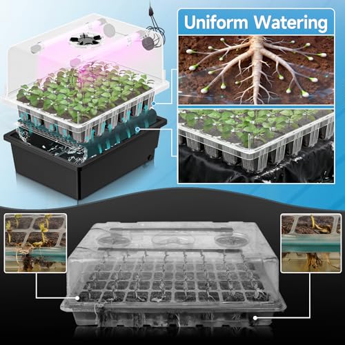 Hon&Guan 2-Pack 30-Cell Seed Starting Kits with Heat Mats and LED Lights | 60-cell PP seedling trays, 5.3" domes with vents, 4 LED bars, thermostats, self-watering, for Germination & Plant Propagation - size: 2 Pack