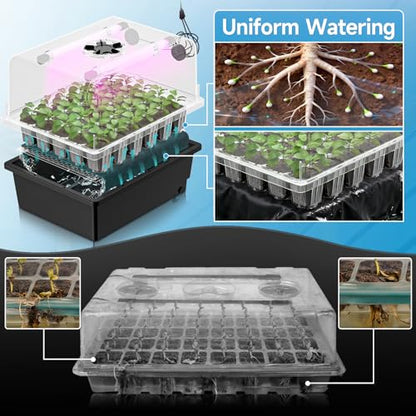 Hon&Guan 2-Pack 30-Cell Seed Starting Kits with Heat Mats and LED Lights | 60-cell PP seedling trays, 5.3" domes with vents, 4 LED bars, thermostats, self-watering, for Germination & Plant Propagation - size: 2 Pack