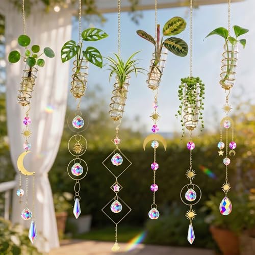 6pcs Plant Propagation Station Hanging Suncatcher with Chain Pendant