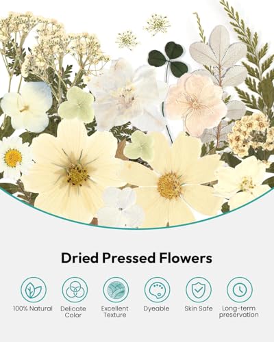 Dried Flowers, Resiners 100Pcs Pressed Flowers for Craft | White Real Natural Dried Flowers Dry Leaves Kit for DIY Making Craft Resin Soap Candle Scrapbook Supplies Card Making Jewelry - color: Ivory White 100pcs