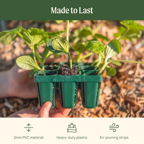 Vego garden Standard Seedling Trays Without Lids, 64 Pack for Seedlings Reusable Propagator Growing Starter Tray, Germination Trays Kit for Greenhouse/Garden (8-Cell per Tray) - size: 64 Packs, style: 8 Cells Standard Size