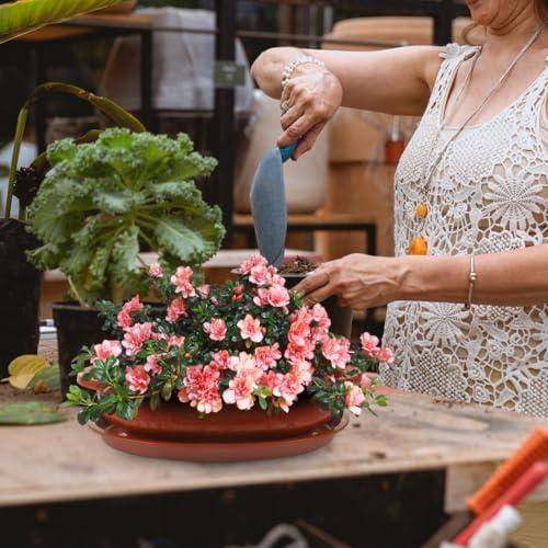 DOITOOL Bonsai Training Pots with Drainage Tray, 17 Inch Oval Bonsai Planter Pot Plastic Plants Growing Tree s Flower for Indoor Outdoor Garden Yard - 17.3 x 13.3 x 4.1 inch