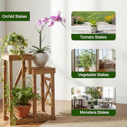 10 Packs Stackable Monstera Plant Support Stakes for Small Potted Plants | Height Adjustable Plant Supports, Linkable, Ideal for Small Indoor Pothos, Monstera, Philodendron, Ivy & Climbing Vine Plants
