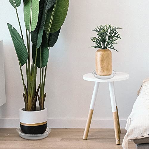 6 Pack Clear Plant Saucer 6 8 10 inch, Durable Plastic Plant Trays for Indoor, Round Flower Plant Pot Saucer, Sturdy Plant Water Catcher Tray - size: 6+8+10 inch