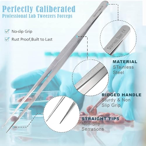 12 Inch Straight Stainless Steel Laboratory Tweezers – Extra Long Precision Forceps with Serrated Tips for Scientific Research, Lab Experiments, and Classroom Use