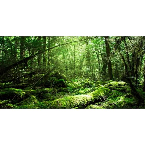 AWERT 72x24 inches Tropical Terrarium Background Rainforest Aquarium Background Green Tree Reptile Habitat Background Vinyl - size: 72x24in/180x60cm