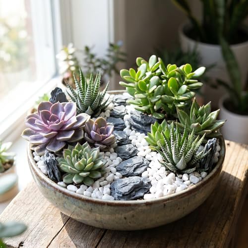 Kai Dream Miniature Stones for Terrarium - Tree Bark Diorama Rocks for Miniature Terrain Display - Lightweight Reptile Habitat Decor - NOT for Aquarium Underwater Use - 12 Pcs Slate Stone (1-2 inch) - style: 12P Wooden Slate Rocks